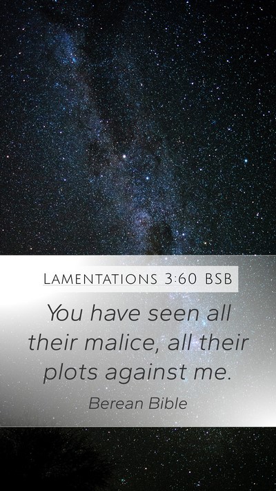 Lamentations 3:60 BSB Mobile Phone Wallpaper - You have seen all their malice, all their plots - Mobile Bible Verse Wallpaper
