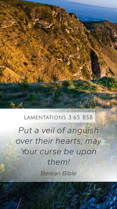 Lamentations 3:65 BSB Bible Verse Image