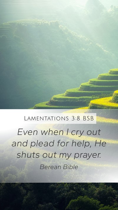 Lamentations 3:8 BSB Bible Verse Image