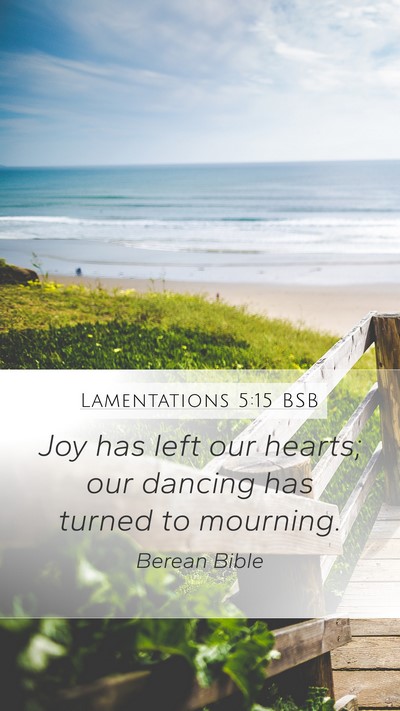 Lamentations 5:15 BSB Bible Verse Image