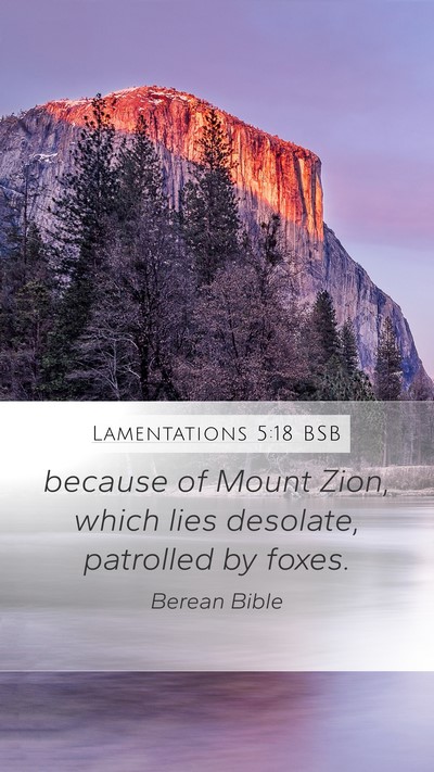 Lamentations 5:18 BSB Mobile Phone Wallpaper - because of Mount Zion, which lies desolate, - Mobile Bible Verse Wallpaper