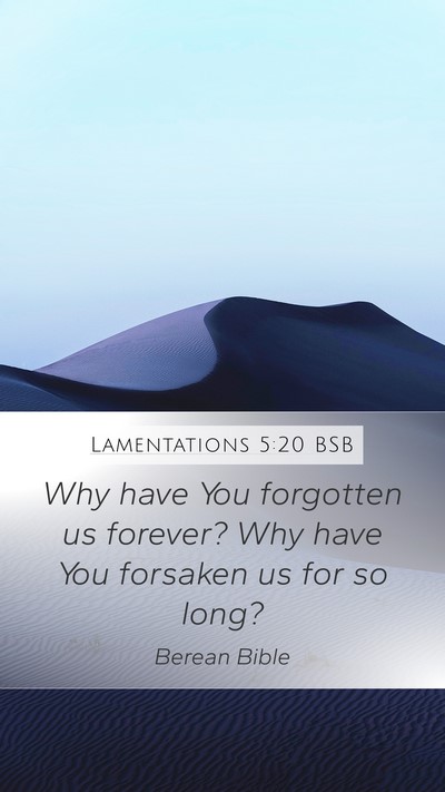 Lamentations 5:20 BSB Bible Verse Image