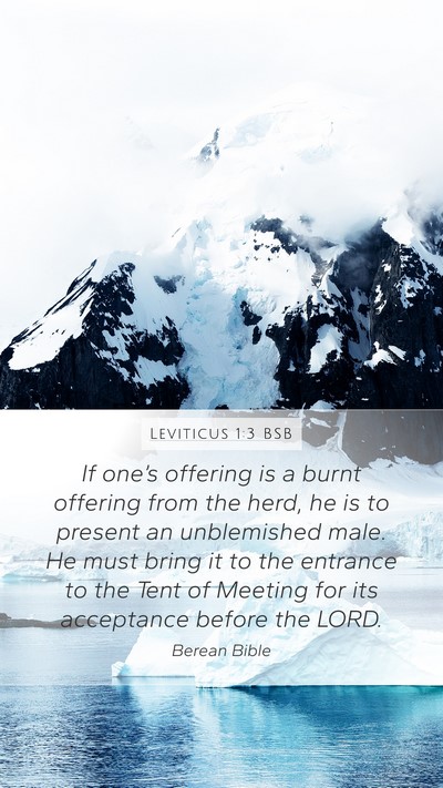 Leviticus 1:3 BSB Bible Verse Image
