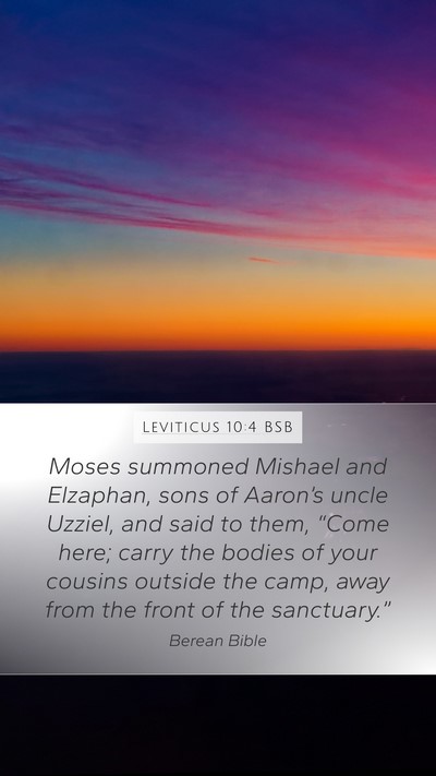 Leviticus 10:4 BSB Bible Verse Image