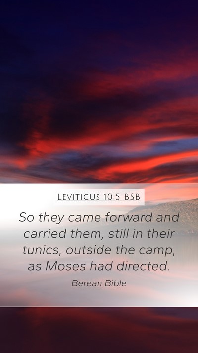 Leviticus 10:5 BSB Bible Verse Image