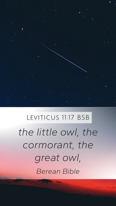 Leviticus 11:17 BSB Mobile Phone Wallpaper - the little owl, the cormorant, the great - Mobile Bible Verse Wallpaper