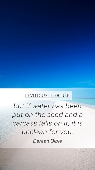 Leviticus 11:38 BSB Mobile Phone Wallpaper - but if water has been put on the seed and a - Mobile Bible Verse Wallpaper