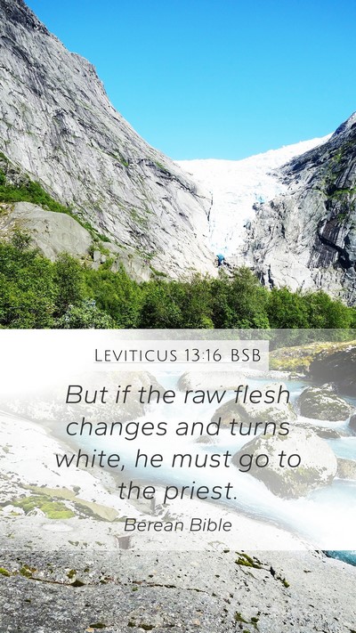 Leviticus 13:16 BSB Mobile Phone Wallpaper - But if the raw flesh changes and turns white, he - Mobile Bible Verse Wallpaper