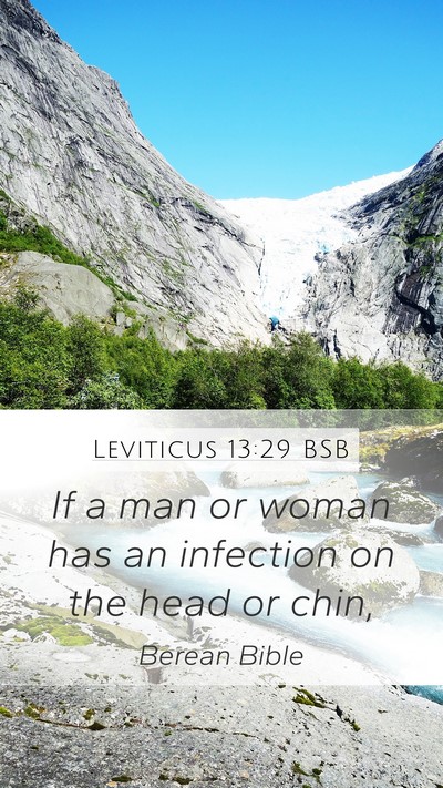 Leviticus 13:29 BSB Mobile Phone Wallpaper - If a man or woman has an infection on the head or - Mobile Bible Verse Wallpaper