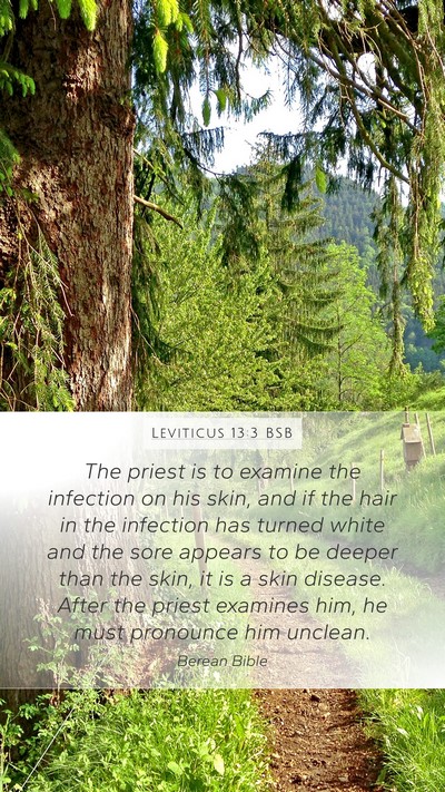 Leviticus 13:3 BSB Mobile Phone Wallpaper - The priest is to examine the infection on his - Mobile Bible Verse Wallpaper