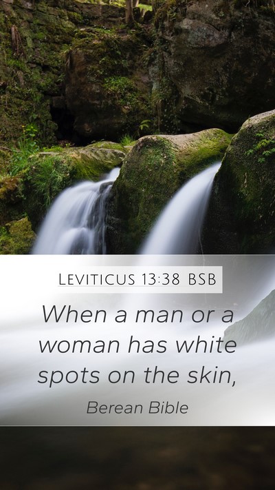 Leviticus 13:38 BSB Mobile Phone Wallpaper - When a man or a woman has white spots on the - Mobile Bible Verse Wallpaper
