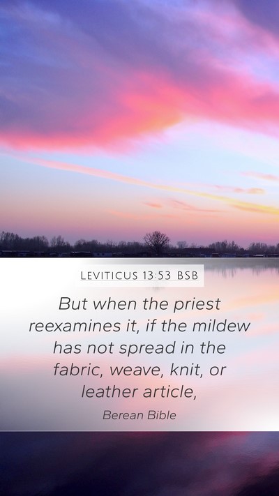 Leviticus 13:53 BSB Mobile Phone Wallpaper - But when the priest reexamines it, if the mildew - Mobile Bible Verse Wallpaper