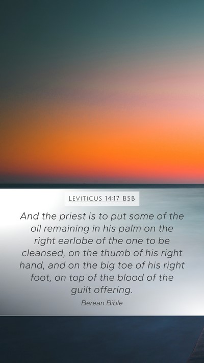 Leviticus 14:17 BSB Bible Verse Image