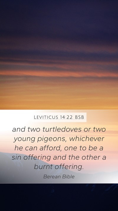 Leviticus 14:22 BSB Bible Verse Image