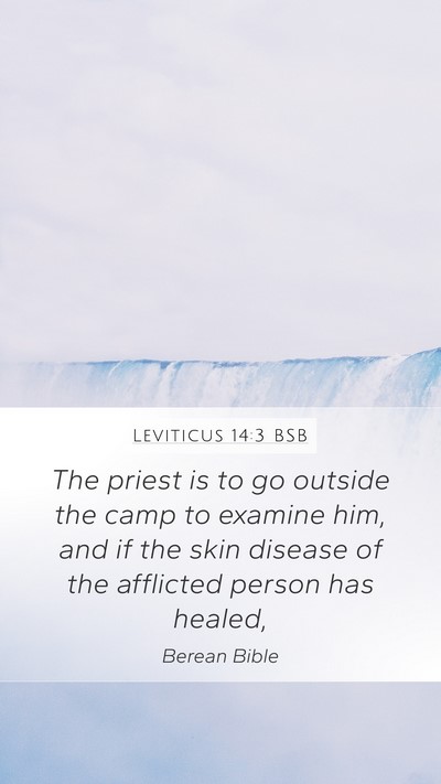 Leviticus 14:3 BSB Bible Verse Image