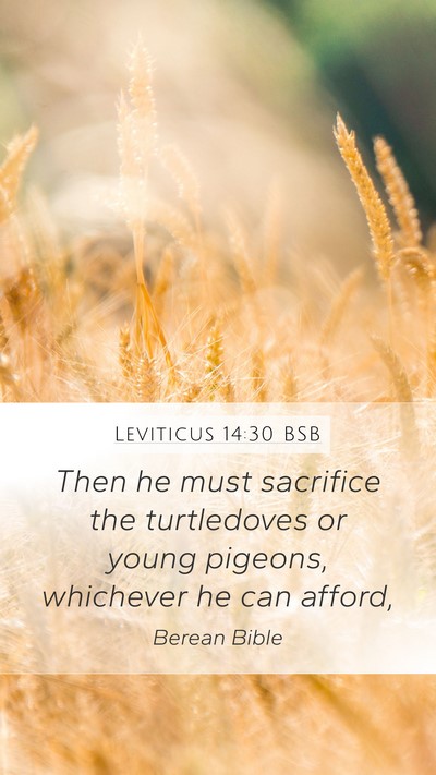 Leviticus 14:30 BSB Bible Verse Image