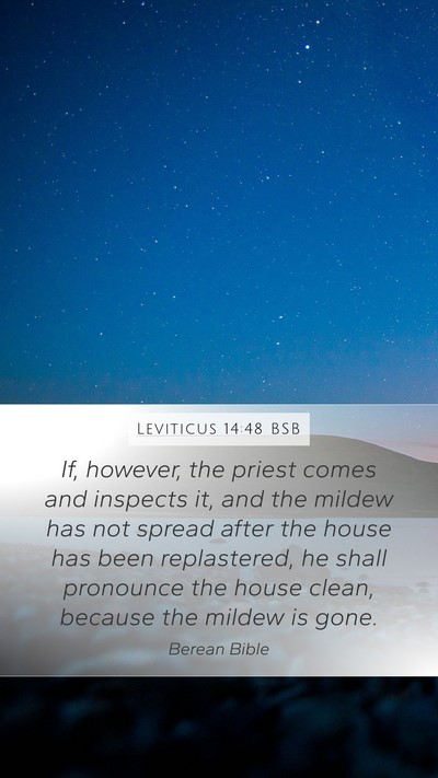 Leviticus 14:48 BSB Mobile Phone Wallpaper - If, however, the priest comes and inspects it, - Mobile Bible Verse Wallpaper