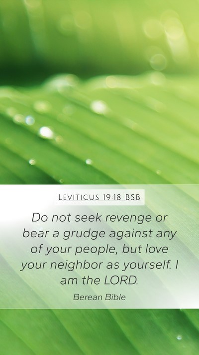 Leviticus 19:18 BSB Bible Verse Image
