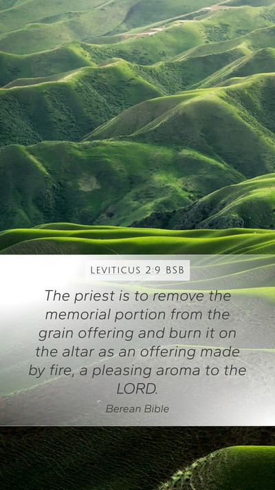 Leviticus 2:9 BSB Bible Verse Image