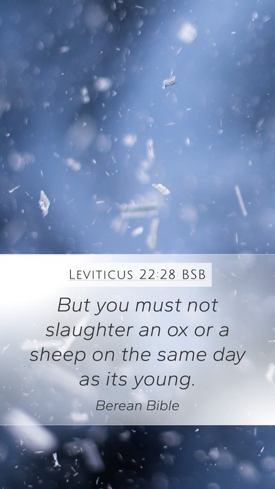 Leviticus 22:28 BSB Bible Verse Image