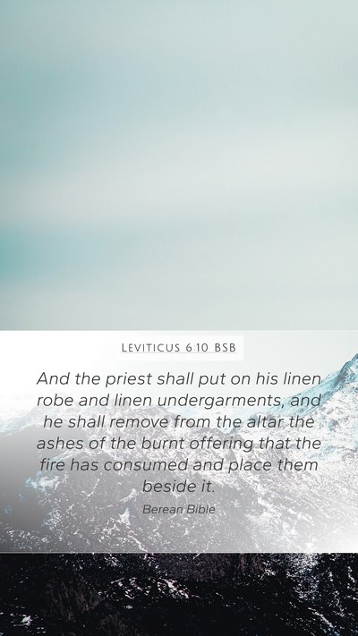 Leviticus 6:10 BSB Bible Verse Image