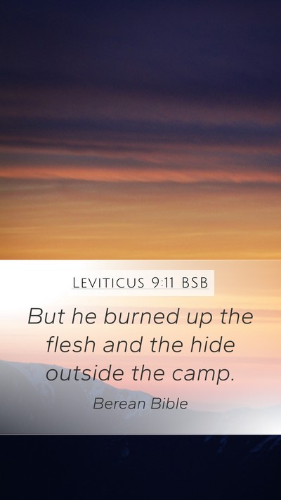 Leviticus 9:11 BSB Mobile Phone Wallpaper - But he burned up the flesh and the hide outside - Mobile Bible Verse Wallpaper