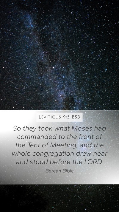 Leviticus 9:5 BSB Mobile Phone Wallpaper - So they took what Moses had commanded to the - Mobile Bible Verse Wallpaper