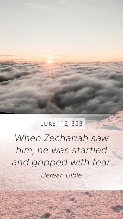 Luke 1:12 BSB Bible Verse Image