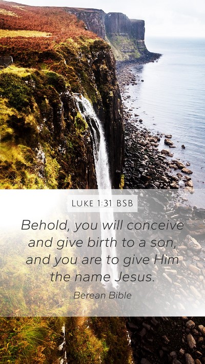 Luke 1:31 BSB Bible Verse Image