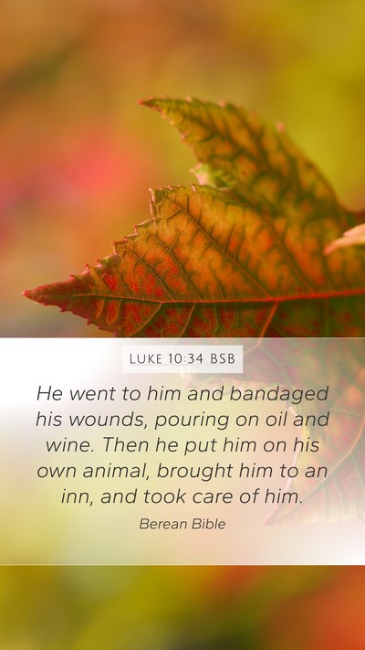 Luke 10:34 BSB Bible Verse Image