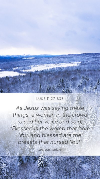 Luke 11:27 BSB Bible Verse Image