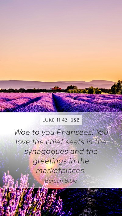 Luke 11:43 BSB Bible Verse Image
