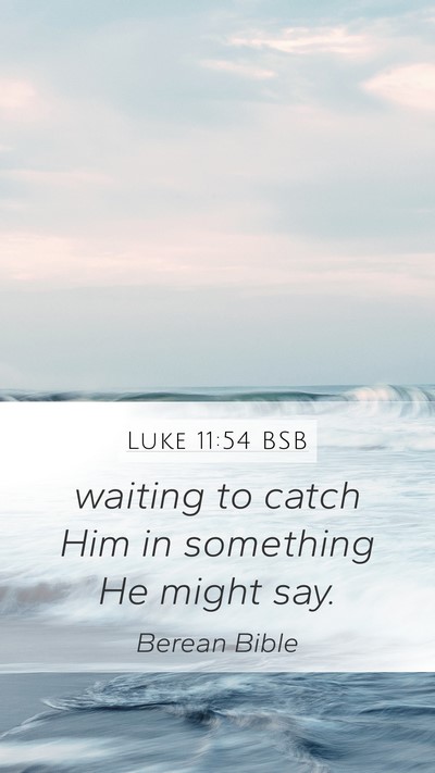 Luke 11:54 BSB Bible Verse Image