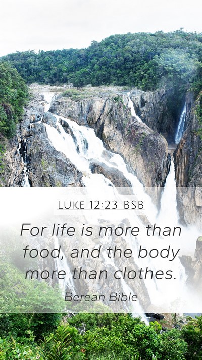 Luke 12:23 BSB Mobile Phone Wallpaper - For life is more than food, and the body more - Mobile Bible Verse Wallpaper