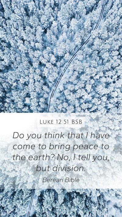 Luke 12:51 BSB Bible Verse Image