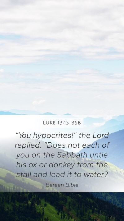 Luke 13:15 BSB Bible Verse Image