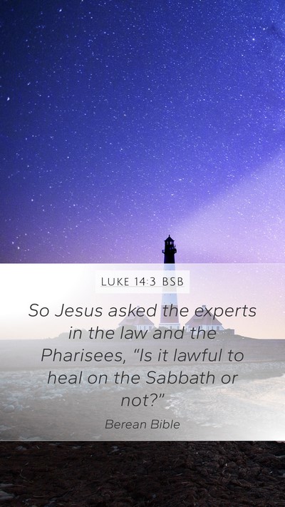 Luke 14:3 BSB Bible Verse Image