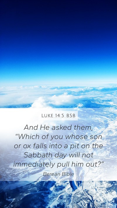 Luke 14:5 BSB Bible Verse Image