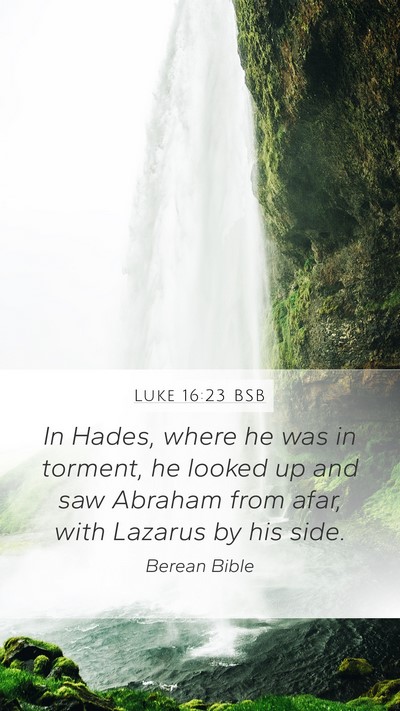 Luke 16:23 BSB Bible Verse Image