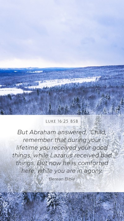 Luke 16:25 BSB Bible Verse Image