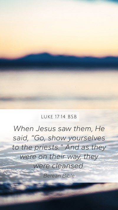 Luke 17:14 BSB Mobile Phone Wallpaper - When Jesus saw them, He said, “Go, show - Mobile Bible Verse Wallpaper
