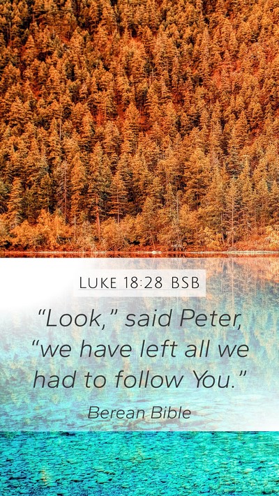 Luke 18:28 BSB Bible Verse Image