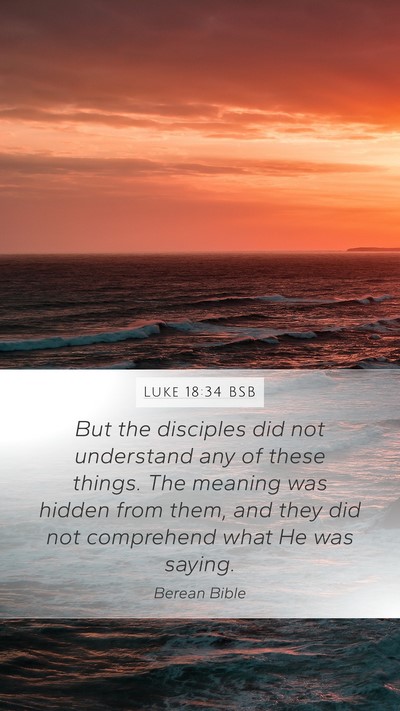 Luke 18:34 BSB Bible Verse Image