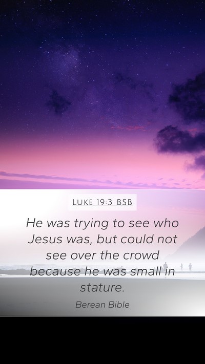 Luke 19:3 BSB Mobile Phone Wallpaper - He was trying to see who Jesus was, but could not - Mobile Bible Verse Wallpaper