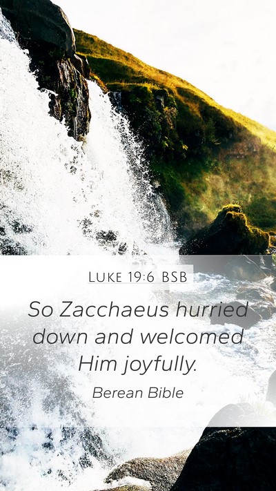 Luke 19:6 BSB Mobile Phone Wallpaper - So Zacchaeus hurried down and welcomed Him - Mobile Bible Verse Wallpaper