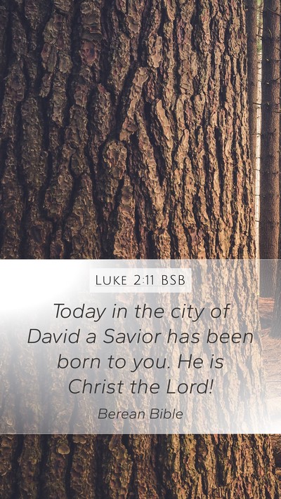 Luke 2:11 BSB Bible Verse Image