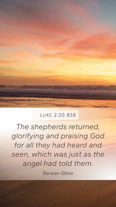 Luke 2:20 BSB Bible Verse Image