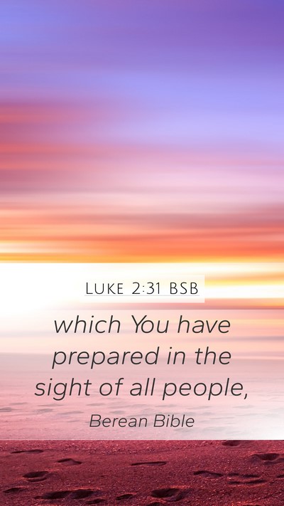 Luke 2:31 BSB Mobile Phone Wallpaper - which You have prepared in the sight of all - Mobile Bible Verse Wallpaper