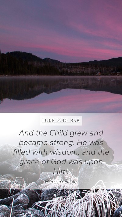 Luke 2:40 BSB Bible Verse Image