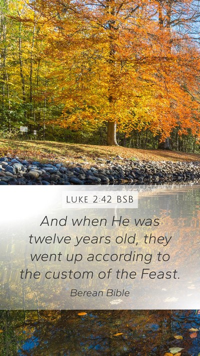 Luke 2:42 BSB Bible Verse Image